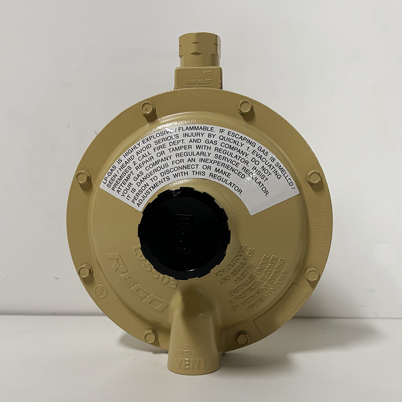 REGO力高LV5503B4中低压燃气调压器