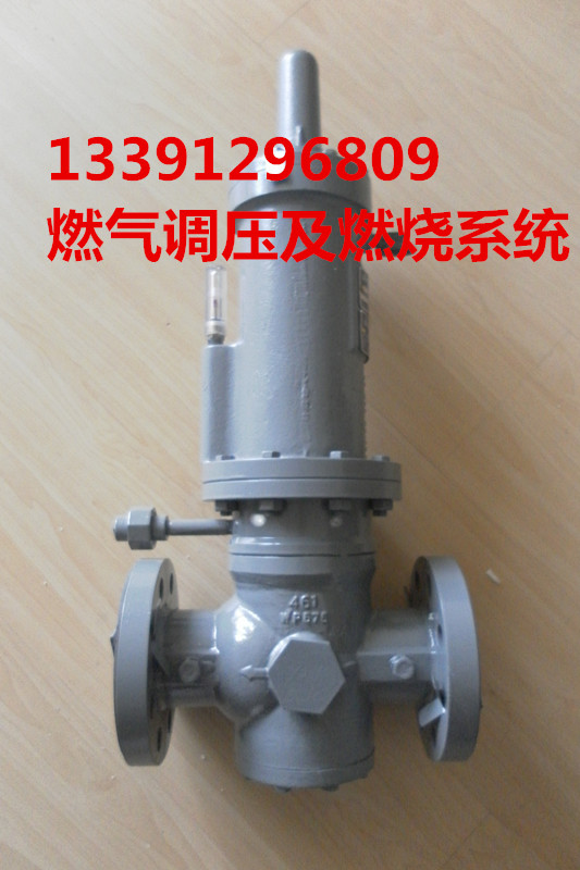 胜赛斯SENEUS 461-S燃气减压阀