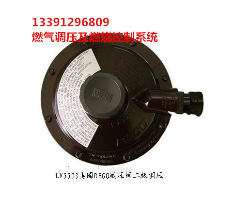 美国REGOLV5503B4/LV5503B6/LV5503B8/LV5503H820/LV5503H8燃气减压阀液化气减压阀调压阀