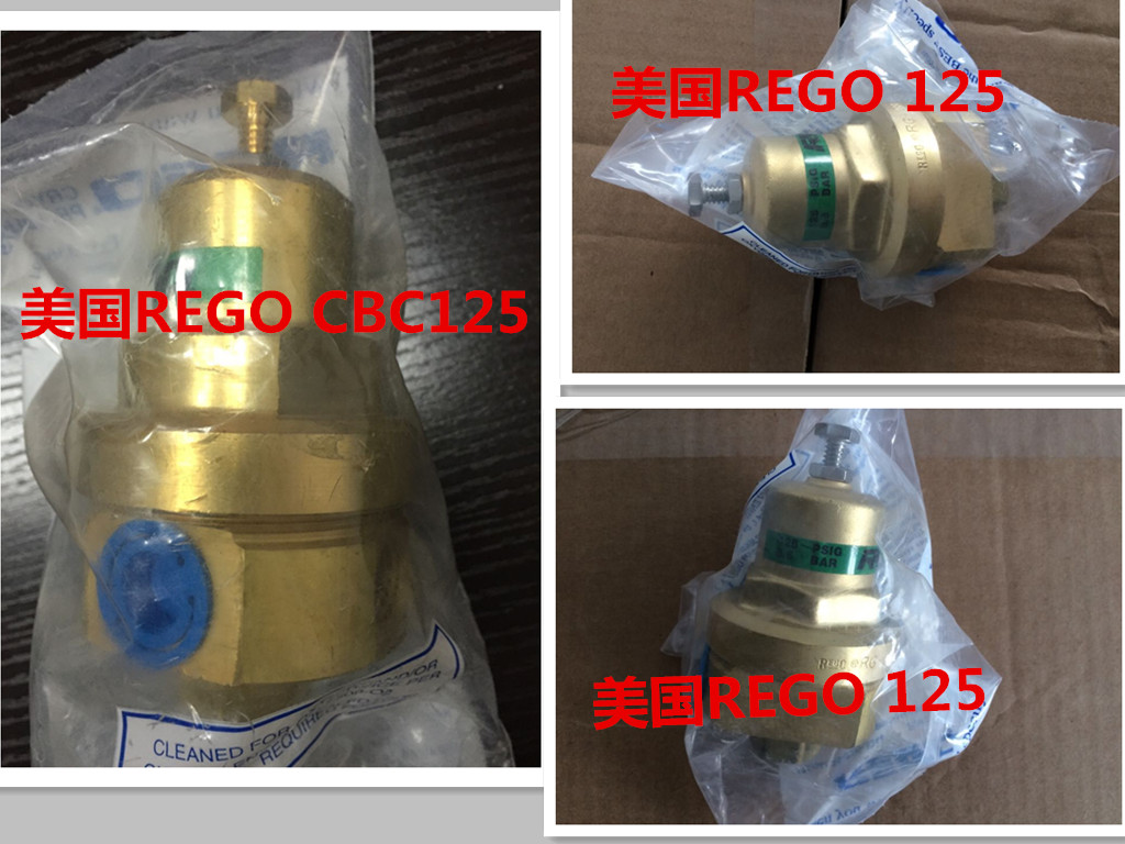 美国REGO RG125A RG300调压阀