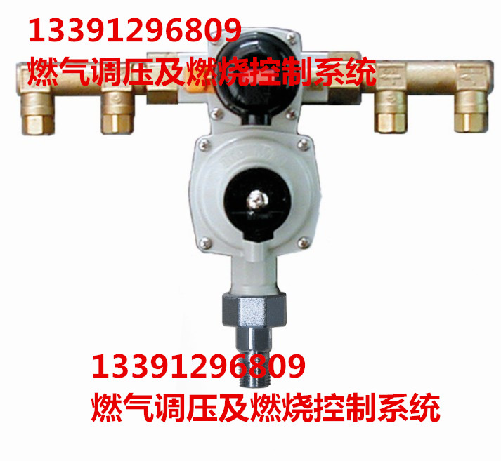 日本伊藤（ITOKOKI）AX-10BH1 AX-10BH2 AX-30AM AX-10M气相自动切换阀