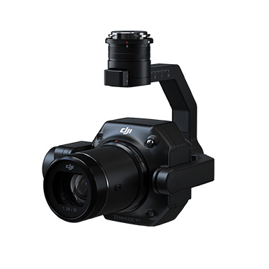 DJI  P1