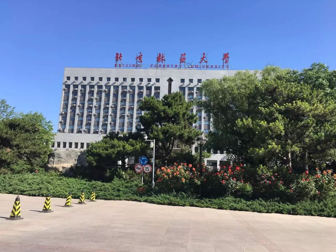 北京林业大学BI培训之旅