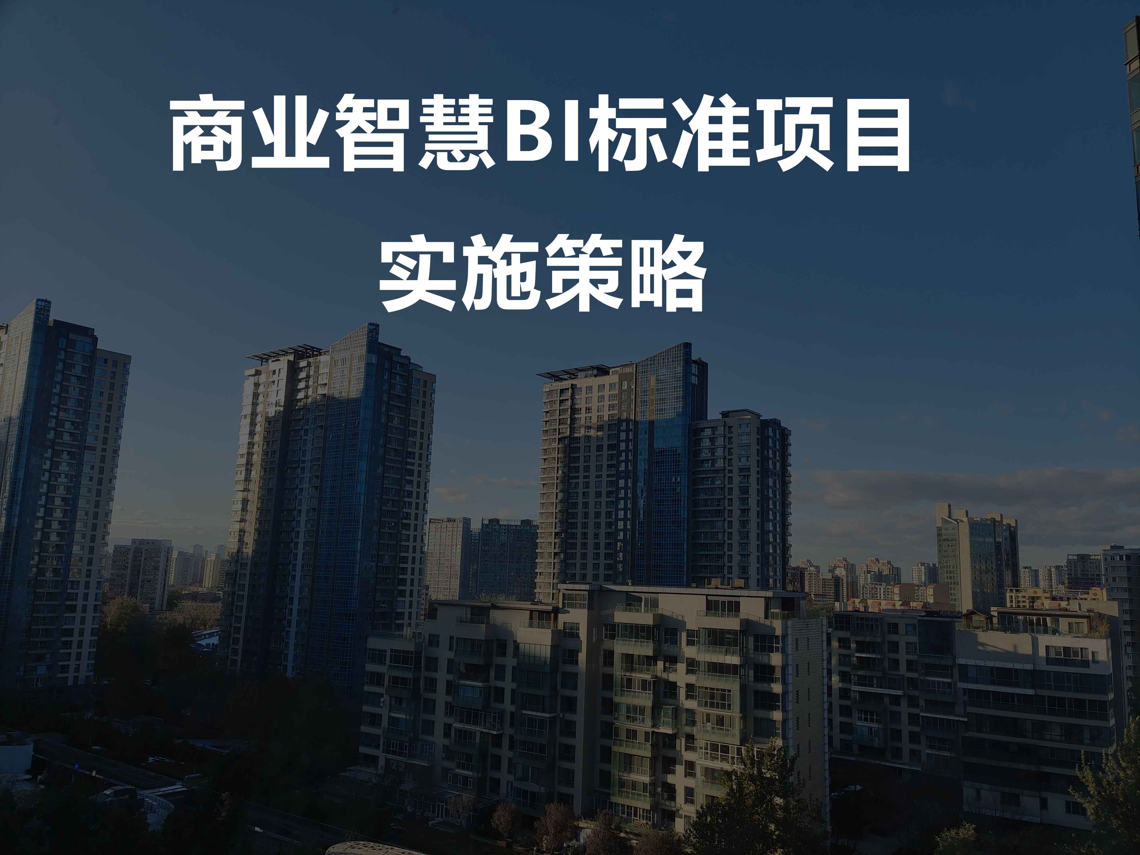 商业智慧BI标准项目实施策略