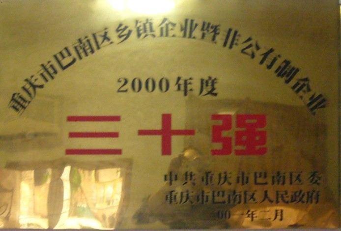 非公有制企业三十强