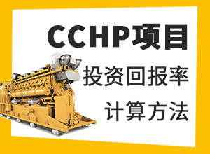CCHP项目投资回报计算方法