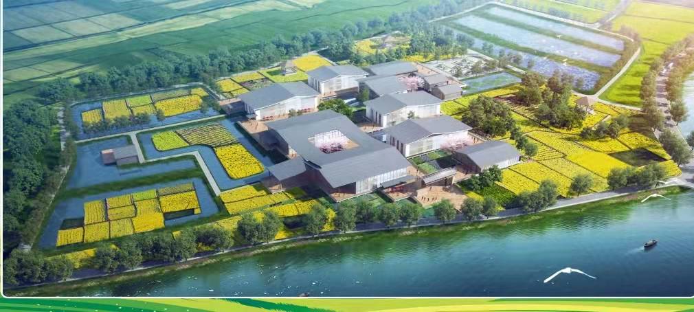 咸安区向阳湖奶牛良种场全域国土综合整治项目一期