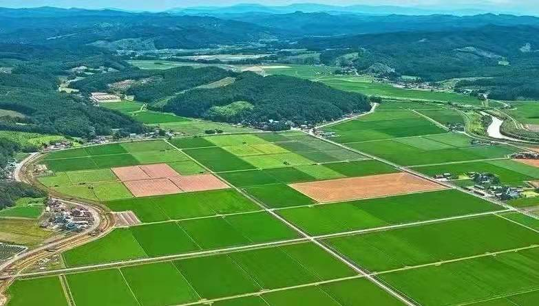 咸安区高标准农田及大宗油料基地建设项目 