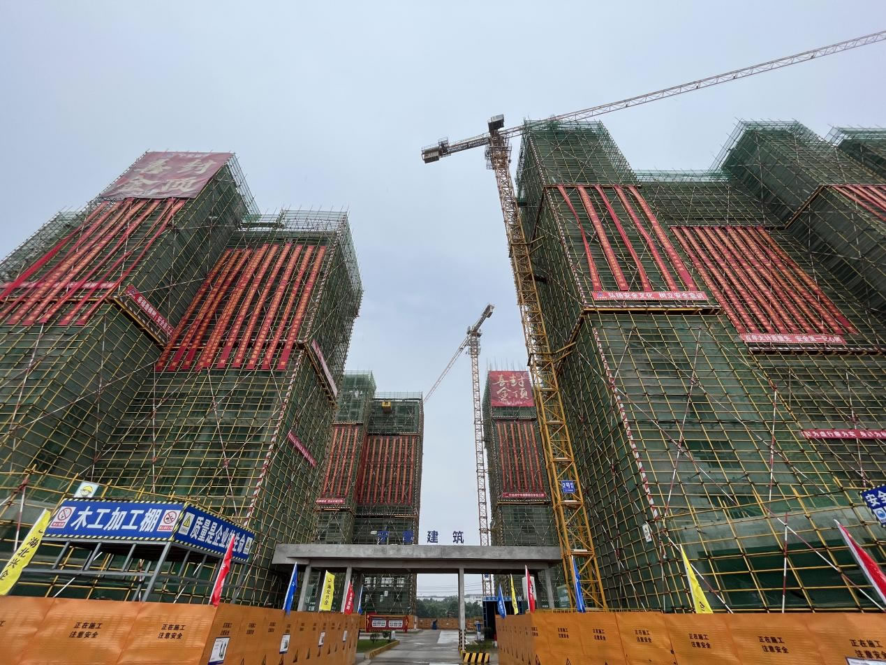 以共同缔造理念为指引  助力人才扎根