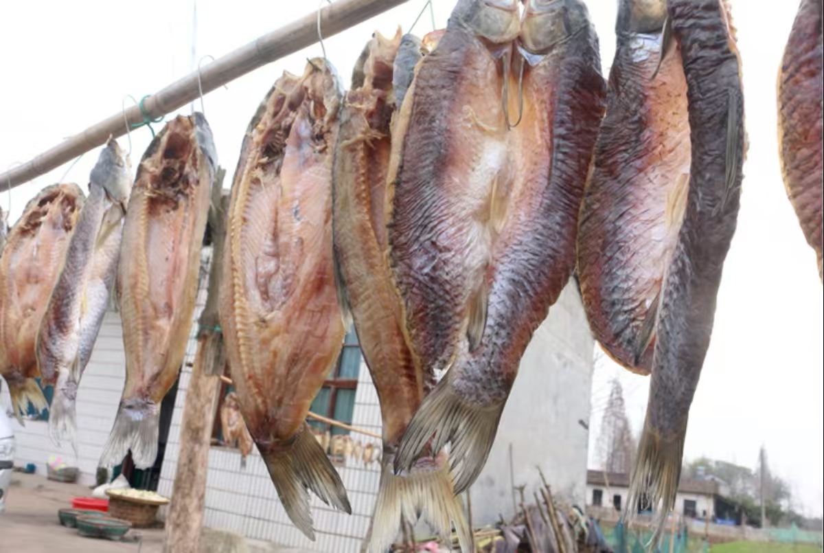 湖北特色篇之腊鱼