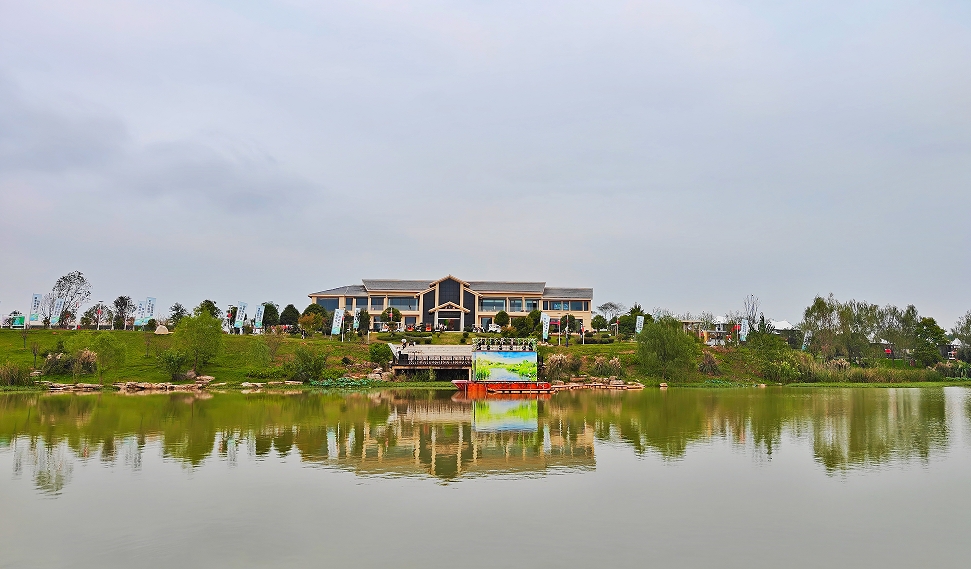 《向阳湖秋望》