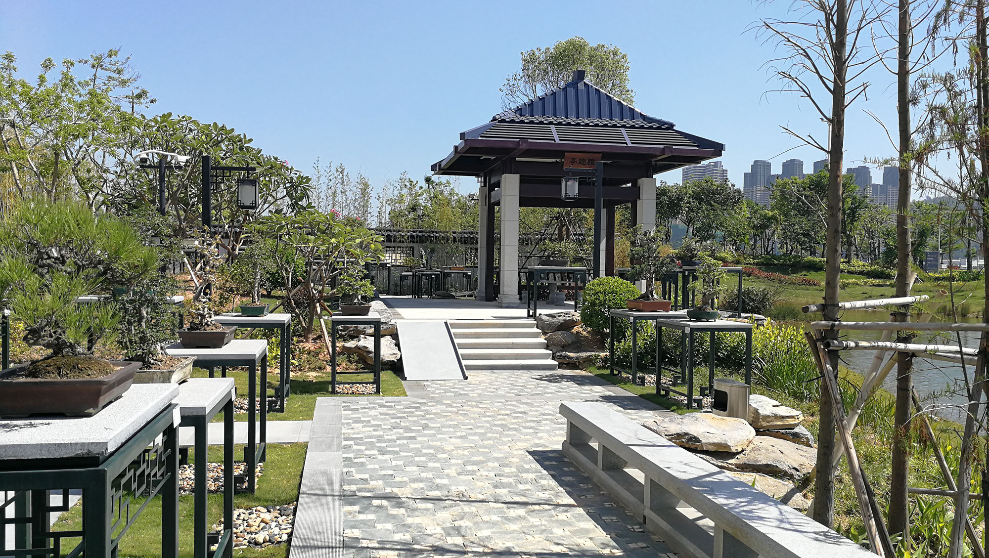 澳門大學盆景花園