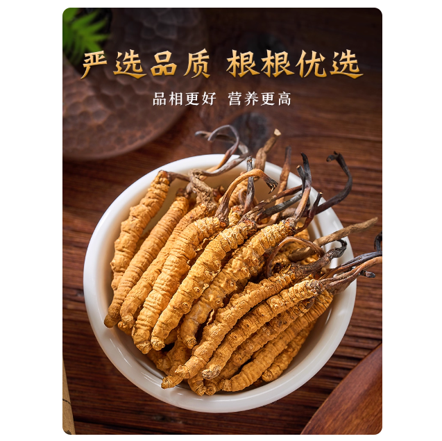 冬虫夏草官方旗舰店10克/30根