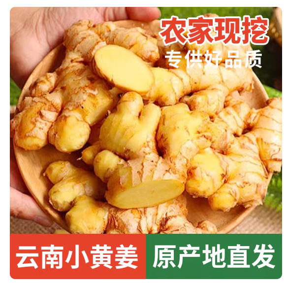 云南大姜正宗小黄姜老生姜新鲜现挖新姜嫩姜仔姜月子姜农家自种