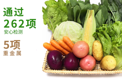 云南有机蔬菜大全当季新鲜生鲜绿叶时令现摘特产应季