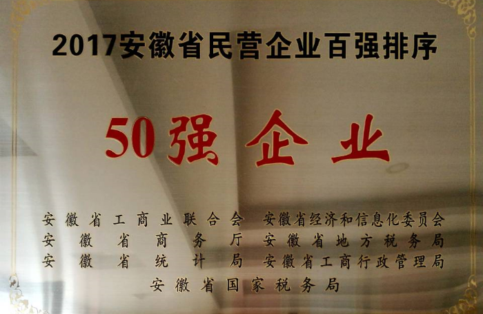 安徽省民營企業百強排序50強企業