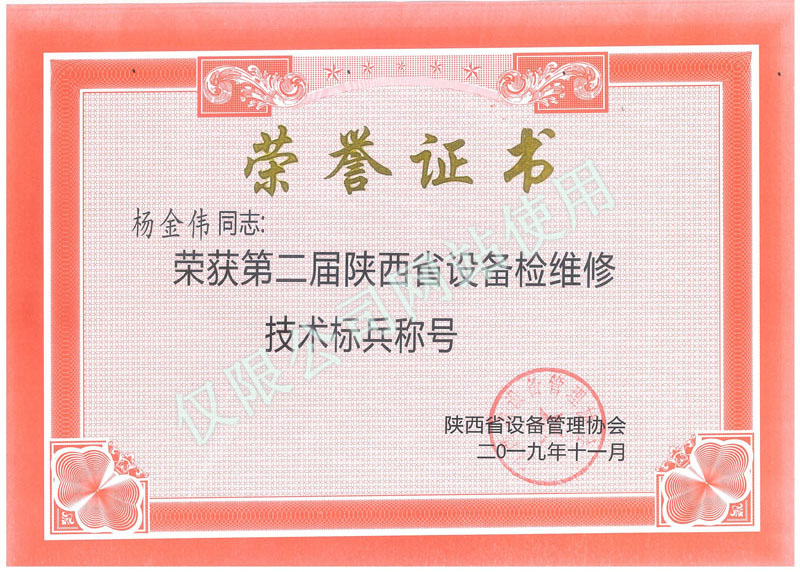 
	陕设协优秀个人杨金伟 
