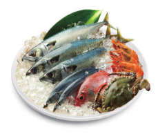 海鲜类