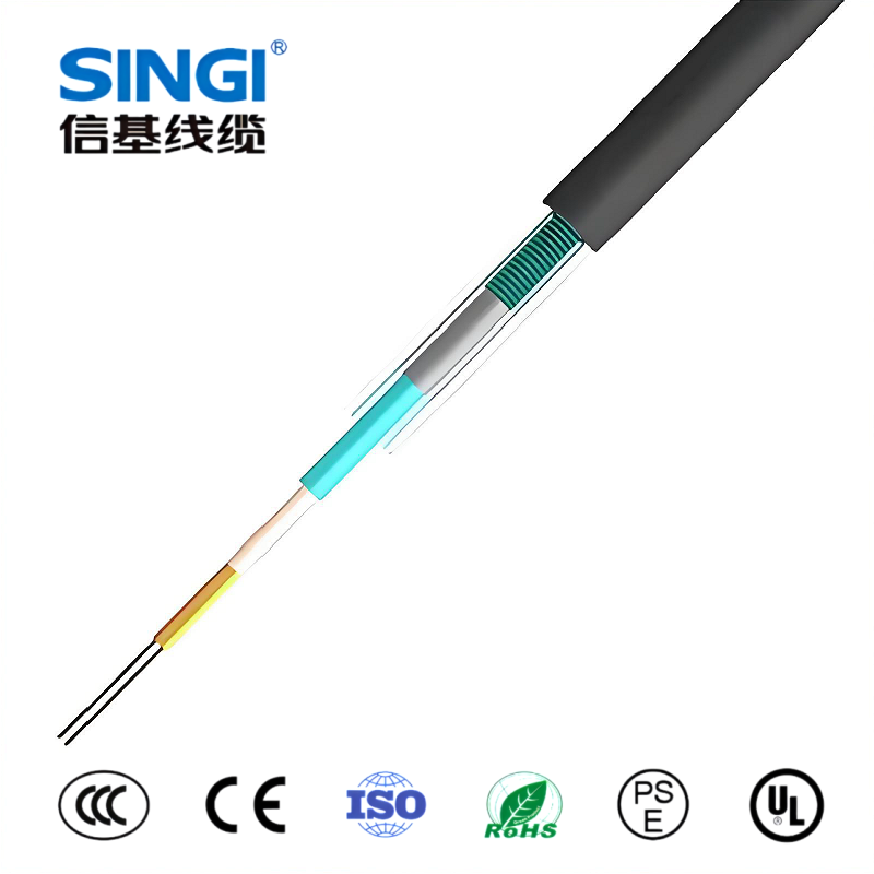 单模光纤（SMF）