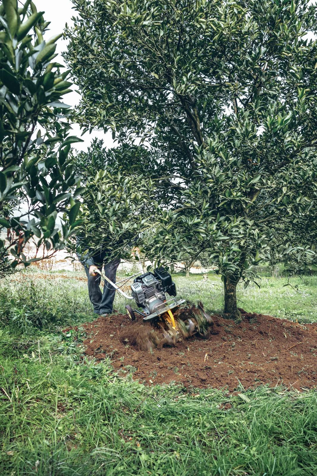 你不知道的绿篱机的使用和保养