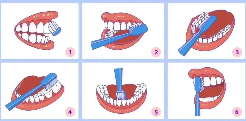 早晨是先吃饭还是先刷牙? 早晨是先吃饭还是先刷牙?