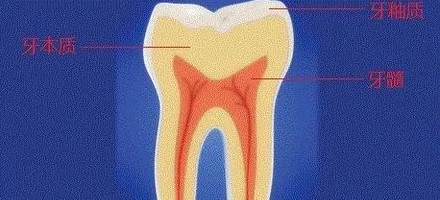 五招拯救牙齿敏感解决冷热酸甜倒牙！