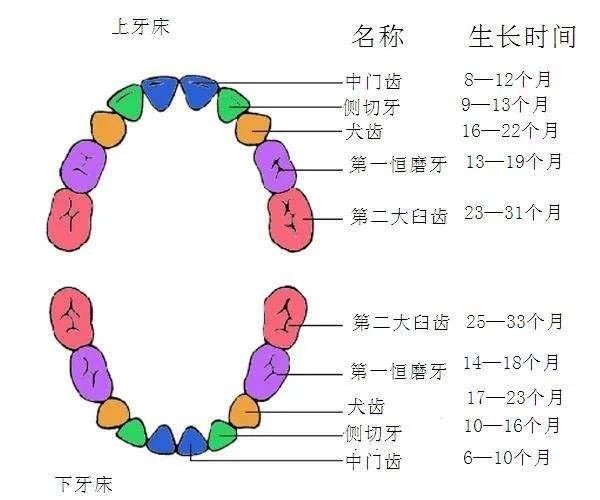 儿童口腔护理知识！
