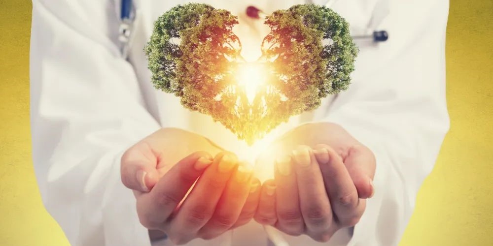 一颗坏牙如何带坏全身? 一颗坏牙如何带坏全身?