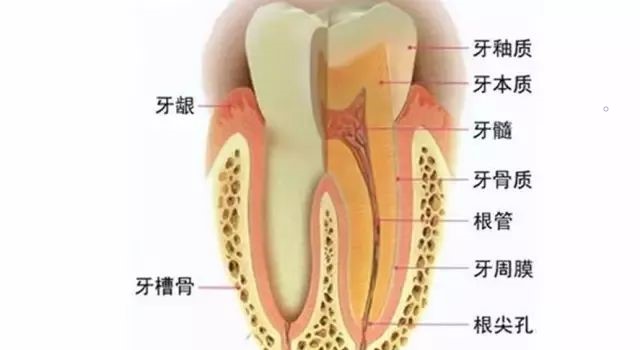 这些食物毁牙! 这些食物毁牙!