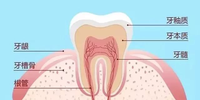 你做对了基础的根管清理吗？