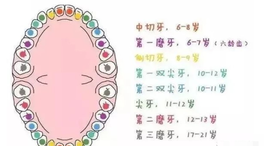 乳牙早失不重视,孩子的好牙就毁了! 乳牙早失不重视,孩子的好牙就毁了!