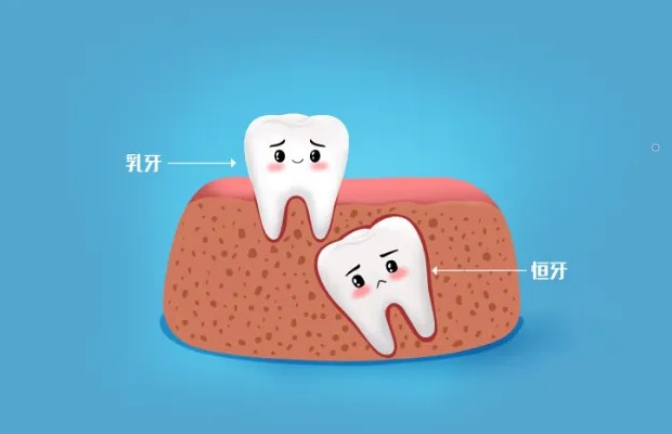 乳牙换恒牙前后应注意啥？