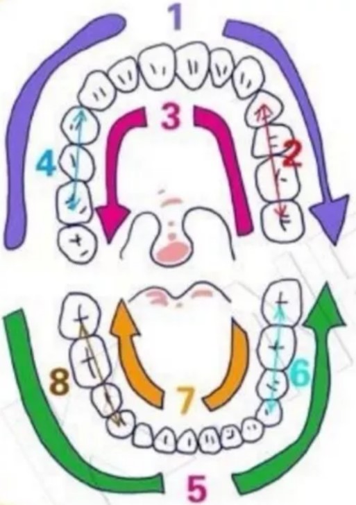 【口腔科普】正确的刷牙方法，你知道吗？-义乌傅氏口腔