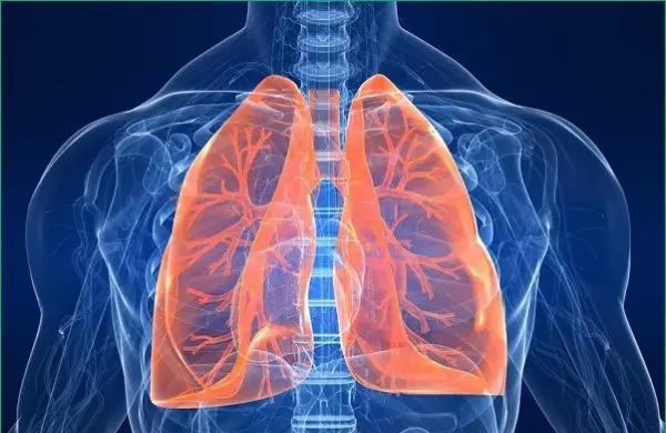 睡前不刷牙是对牙齿最大的伤害! 睡前不刷牙是对牙齿最大的伤害!