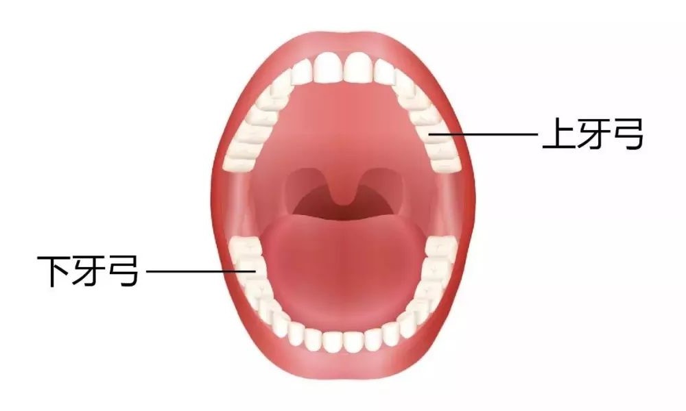 吃饭总咬舌头是怎么回事？