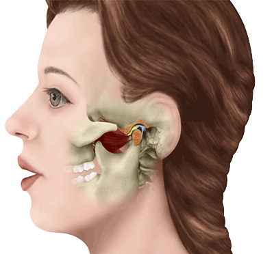 缺牙不补的五大危害！