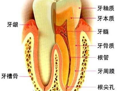牙齿掉了一小块是怎么回事？—义乌口腔护理