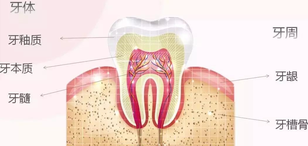 什么是牙髓炎,牙髓炎可以自愈吗? 什么是牙髓炎,牙髓炎可以自愈吗?