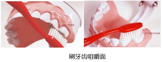 刷牙齿咀嚼面 刷牙齿咀嚼面