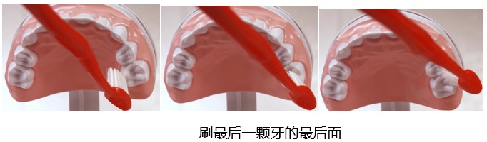 刷最后一颗牙的最后面 刷最后一颗牙的最后面