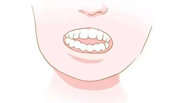 认识自己的牙齿，它们的作用！
