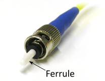 ferrule