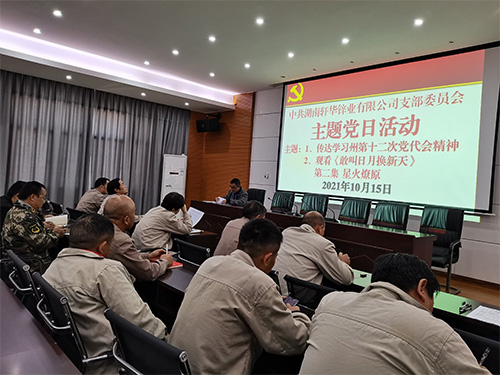 主题党日活动(1)