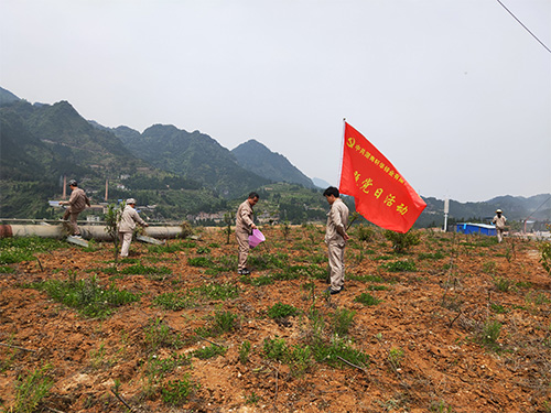 主题党日活动-绿化厂区