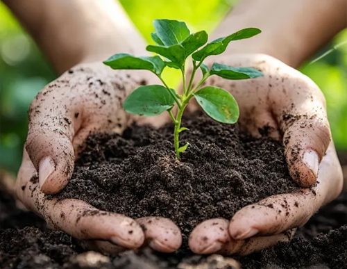 2025年度土壤检测报告（公示）