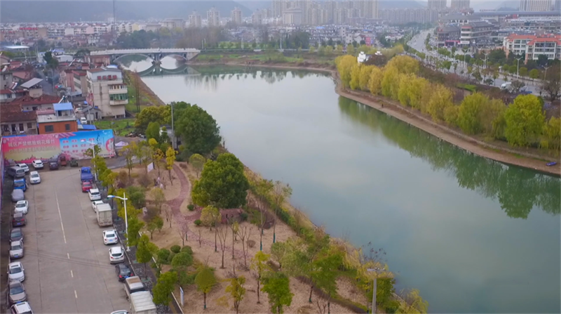 東至縣堯渡河局部地塊綠化帶景觀工程