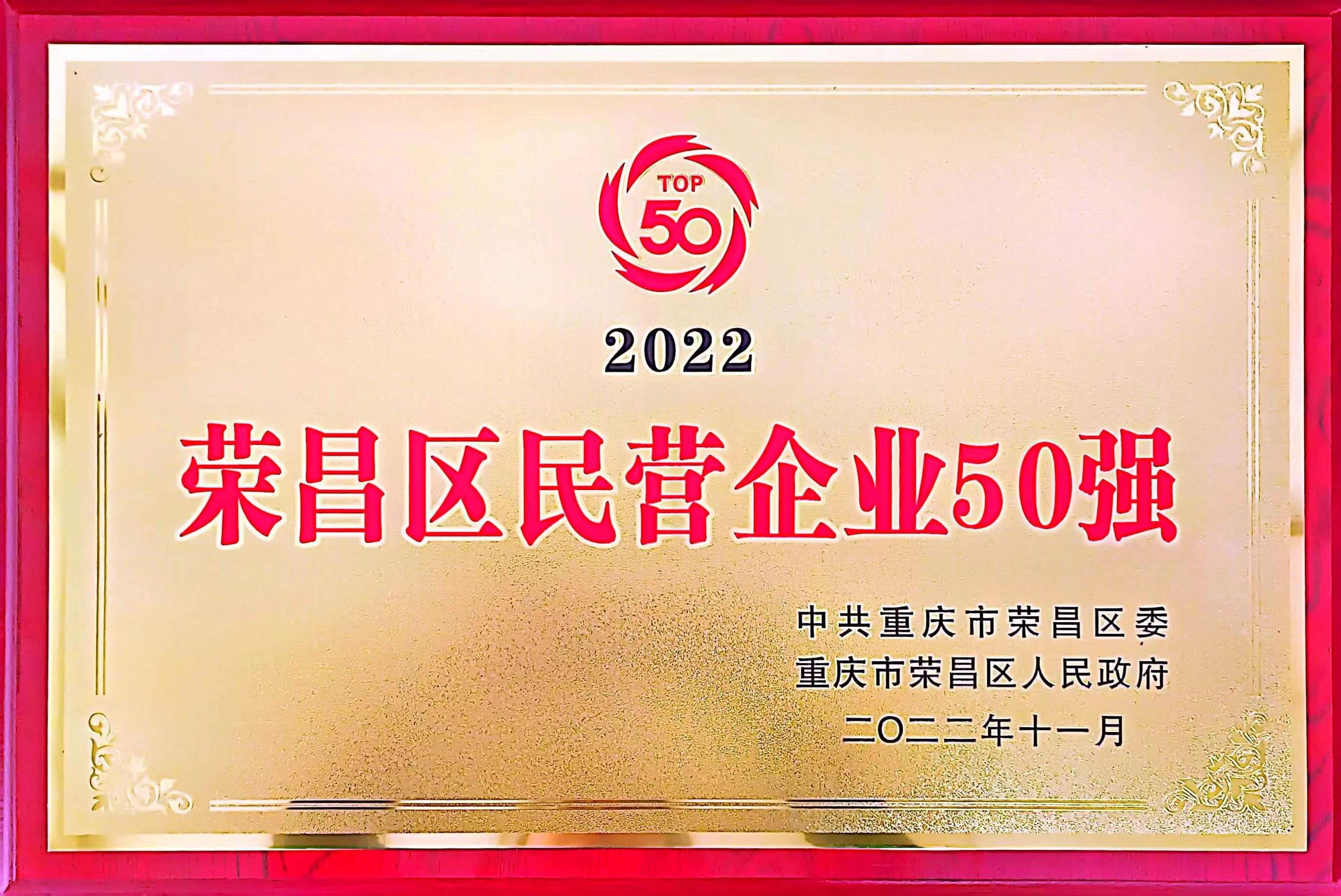 荣昌去民营企业50强