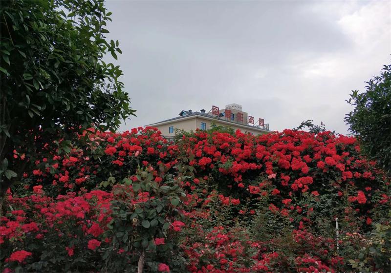 花木景觀