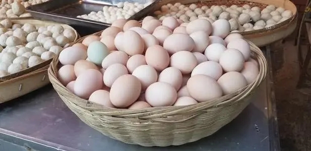 土雞蛋