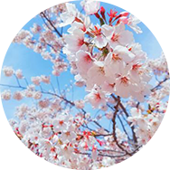 
	花木景觀 


	四季盎然 
